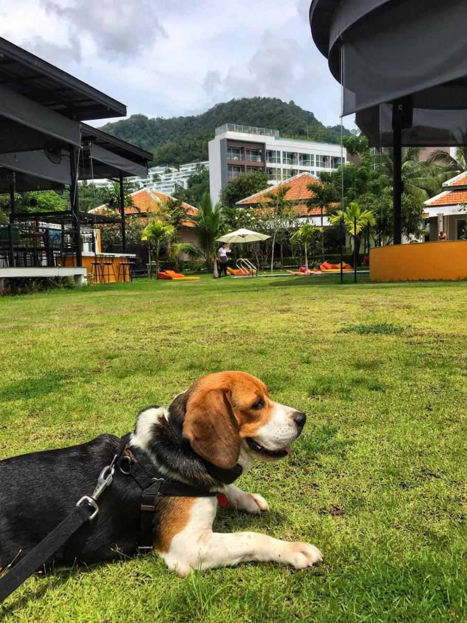 Jazz U Garden Resort Kata Beach  Zewnętrze zdjęcie